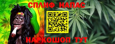 бошки Будённовск