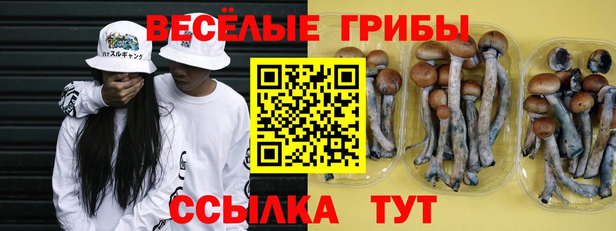 Псилоцибиновые грибы Magic Shrooms  Галлюциногенные грибы ЛСД  Вход с VPN  Нижний Тагил 